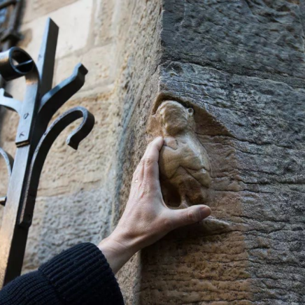 圣母院猫头鹰石雕